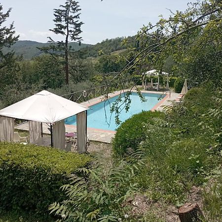 Casa Degli Ulivi - Cottage With Swimming Pool Castellina in Chianti Eksteriør billede