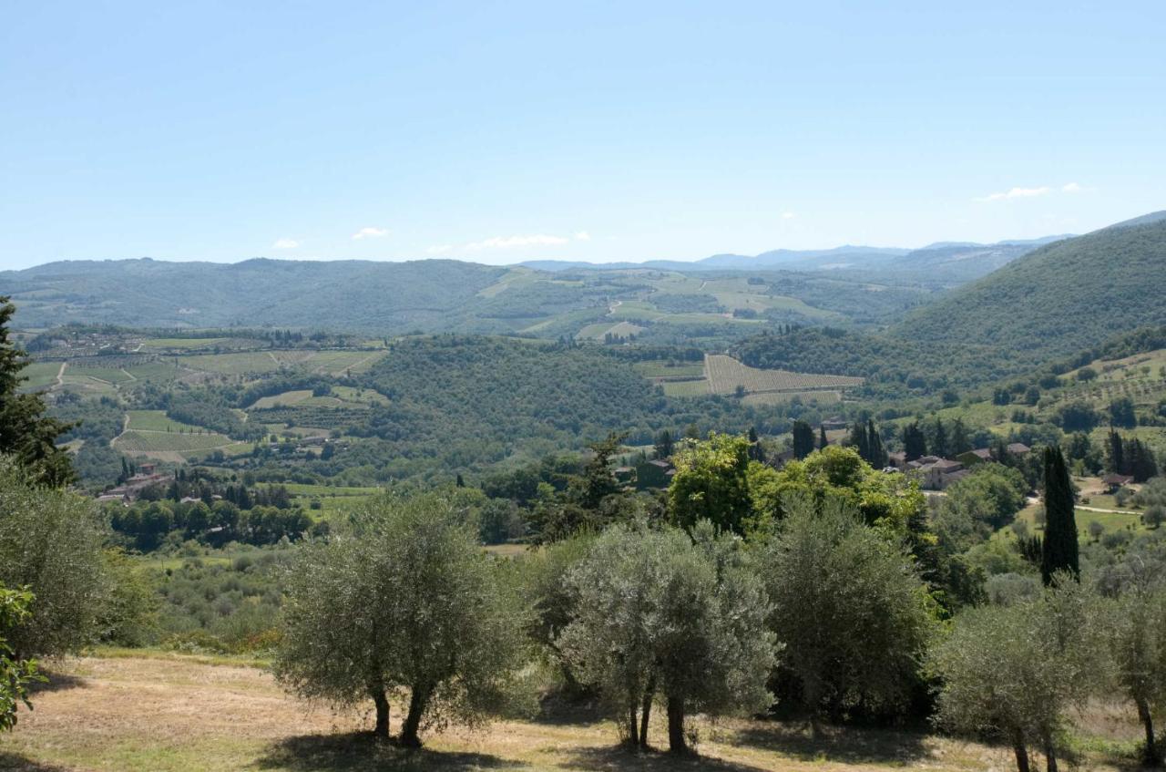Casa Degli Ulivi - Cottage With Swimming Pool Castellina in Chianti Eksteriør billede