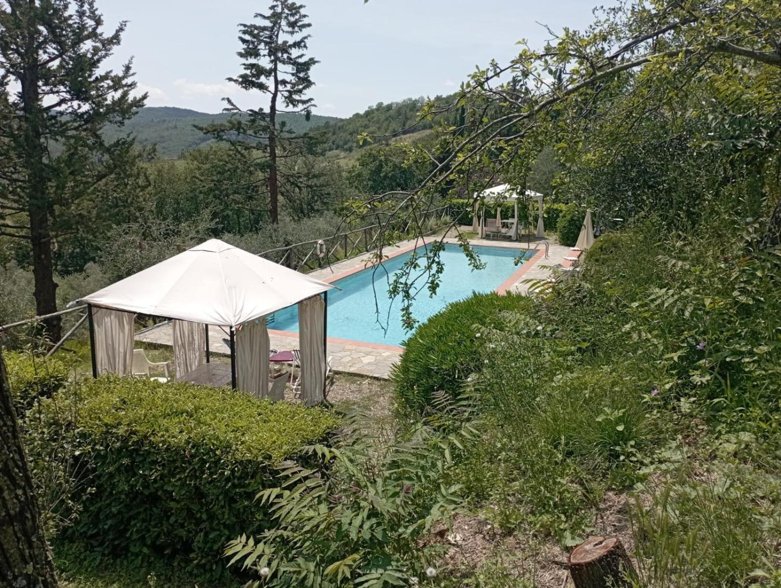 Casa Degli Ulivi - Cottage With Swimming Pool Castellina in Chianti Eksteriør billede