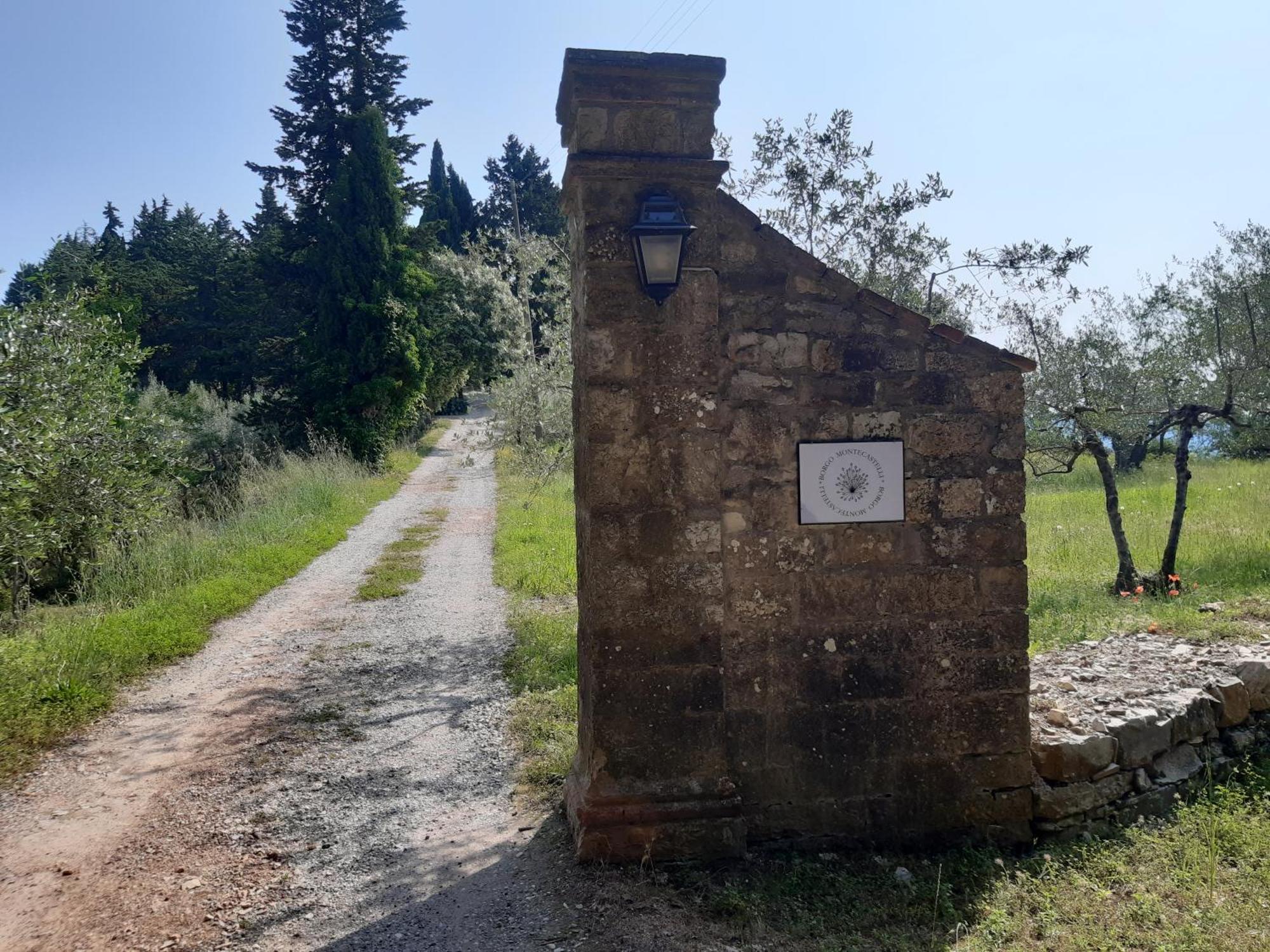 Casa Degli Ulivi - Cottage With Swimming Pool Castellina in Chianti Eksteriør billede
