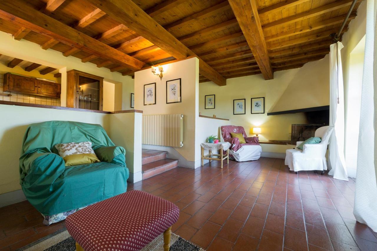 Casa Degli Ulivi - Cottage With Swimming Pool Castellina in Chianti Eksteriør billede