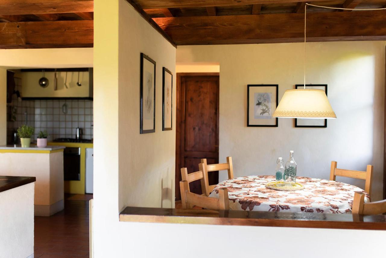 Casa Degli Ulivi - Cottage With Swimming Pool Castellina in Chianti Eksteriør billede